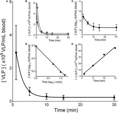 Mouse Liver Sinusoidal Endothelium Eliminates HIV-Like Particles from Blood at a Rate of 100 Million per Minute by a Second-Order Kinetic Process